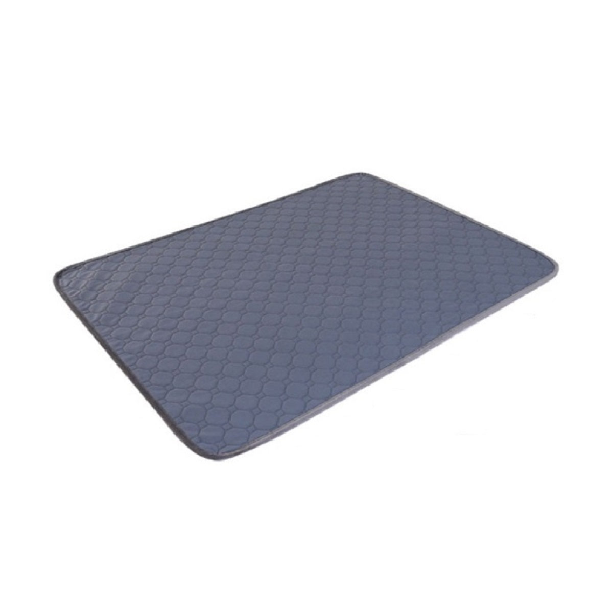 Essential Bedridden Urine Changing  Incontinence Pad Care