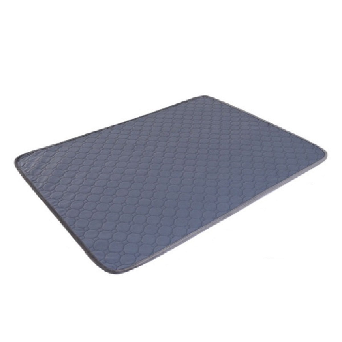 Essential Bedridden Urine Changing  Incontinence Pad Care