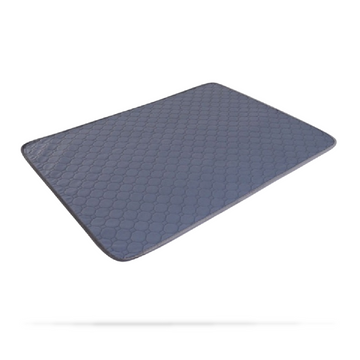 Essential Bedridden Urine Changing  Incontinence Pad Care