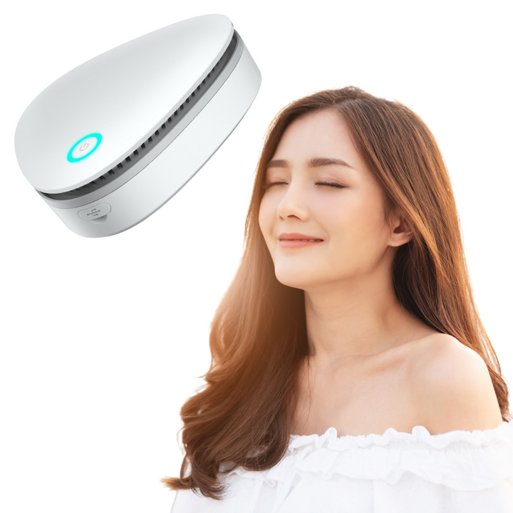 Ozone and Anion Air Purifier