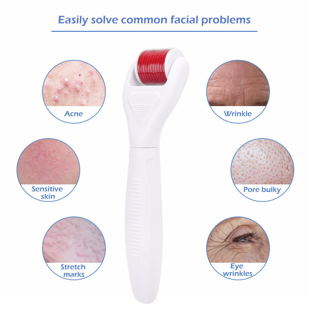 Microneedle Derma Roller Kit